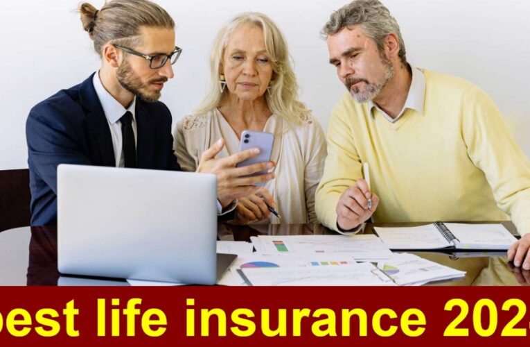 Shielding Your Future: Unveiling the Best Life Insurance Options in the USA